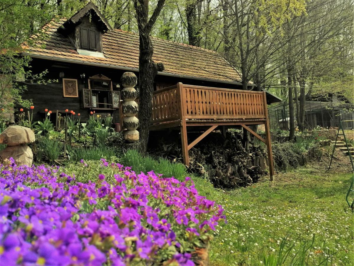 Country House With A Pool In Medvednica Nature Park Zagreb Ngoại thất bức ảnh