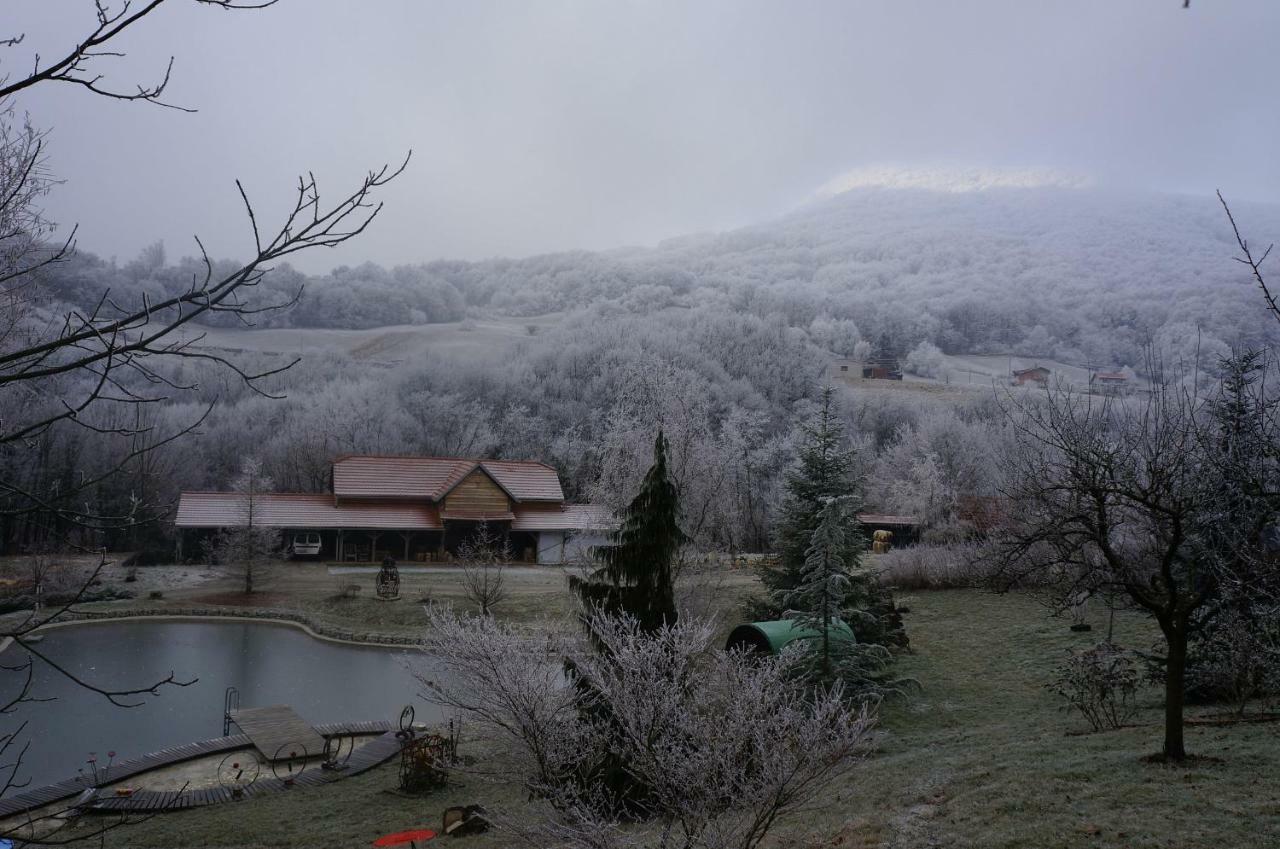 Country House With A Pool In Medvednica Nature Park Zagreb Ngoại thất bức ảnh